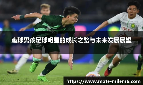 米乐m6官网